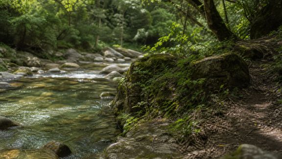 Randonnées au fil des rivières corses : de l'ombre à la fraîcheur