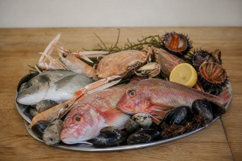 Les poissons et fruits de mer de l’île : guide des spécialités marines corses