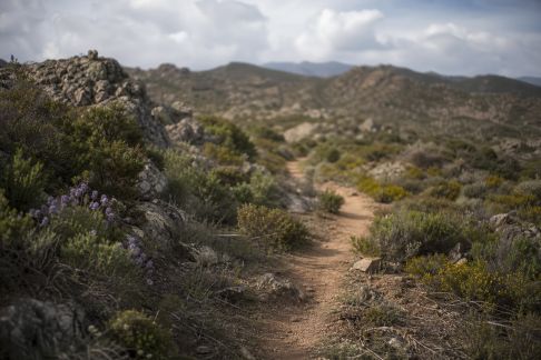 Découvrir les sentiers méconnus de la Corse pour une randonnée authentique