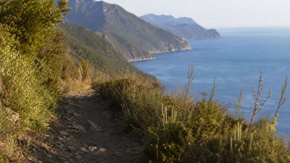 Explorer les sentiers du Cap Corse : randonnées entre mer et montagne