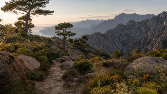 Sentiers pour passionnés de photographie : où capturer les plus beaux paysages de Corse