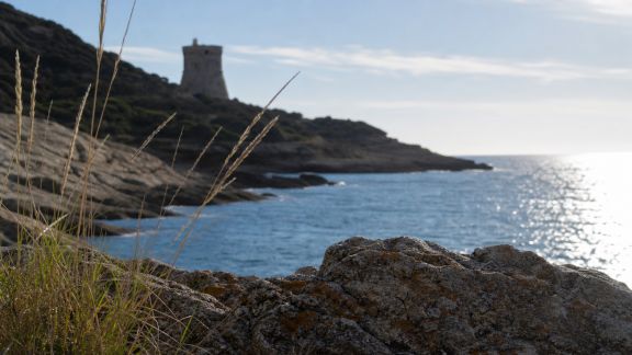 Balades entre mer et tour génoise : sur les traces du littoral corse