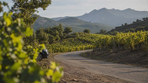 Road trip œnologique : explorer les vignobles corses sur la route