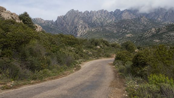 Corse sauvage : road trip à travers les réserves naturelles et parcs nationaux